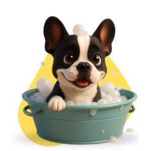 Belleza Higiene Y Salud