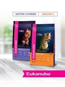 Eukanuba Gato Adulto Top Condition X 1.5 Kg