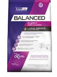 Vital Can Balanced Cachorro Large X 15 Kg
