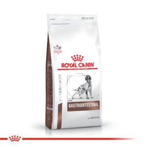 Royal Canin Perro Gastro Intestinal X 2 K
