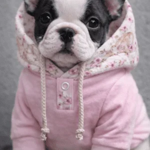 Buzo Hoodie Rain Torita Talle L