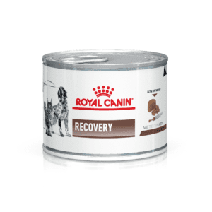 Royal Canin Lata Recovery Unidad 195 Grs