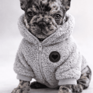 Campera Orso Talle L Torita