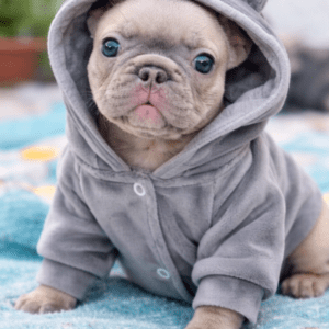 Campera Gia Talle M Torita