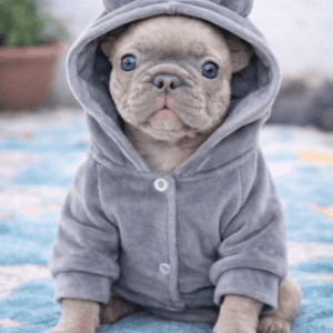 Campera Gia Talle L Torita