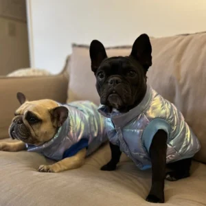 Chaleco Ziggy Talle 5 Cane