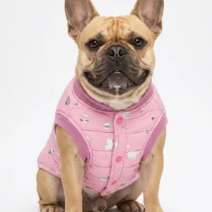 Campera Inflable Matelase Cani Talle 1