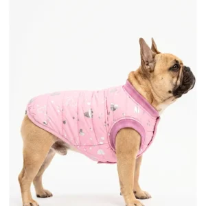 Campera Inflable Matelase Cani Talle 4
