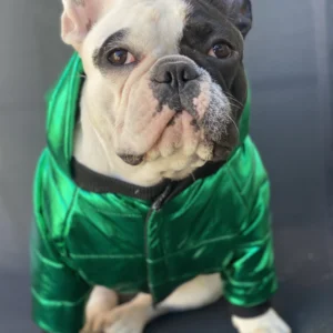 Puffer Greeny Talle 5 Cane