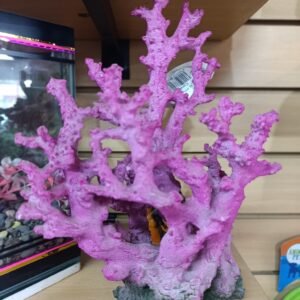Coral Resina 21*14*28