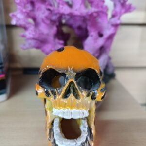 Calavera Flaming Skull Penn Plax